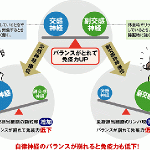 パニック障害を治す方法は [田辺市で腰・肩・ひざの痛み治療 ...